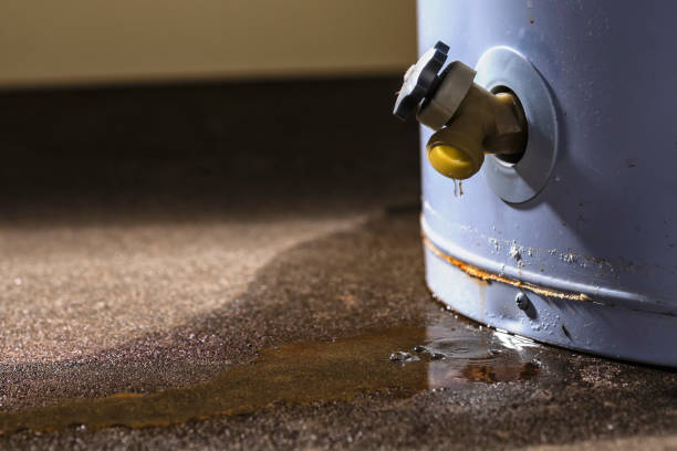 Best Water damage contractors near me  in Hillsboro, KS