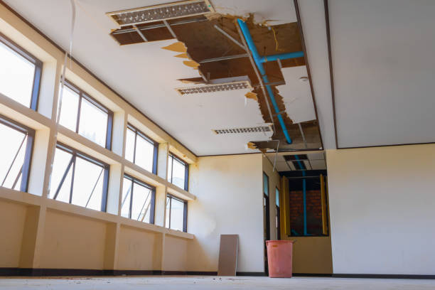 Best Sewage cleanup and water damage restoration  in Hillsboro, KS