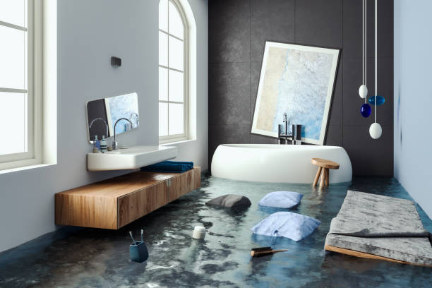 Best Flood damage cleanup  in Hillsboro, KS