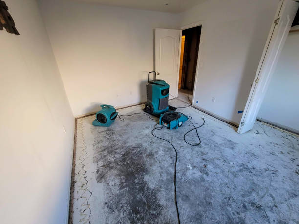 Best Water damage restoration near me  in Hillsboro, KS
