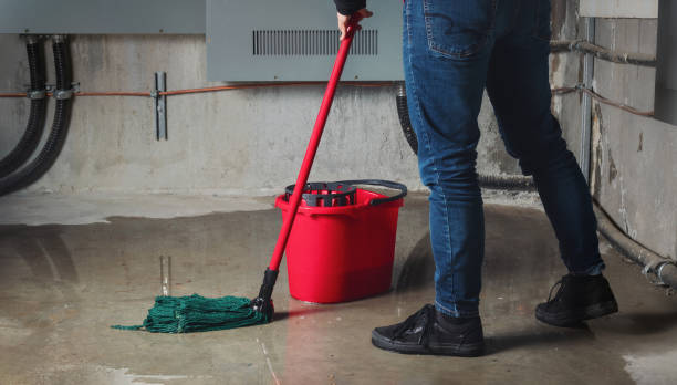 Best Professional water damage repair  in Hillsboro, KS