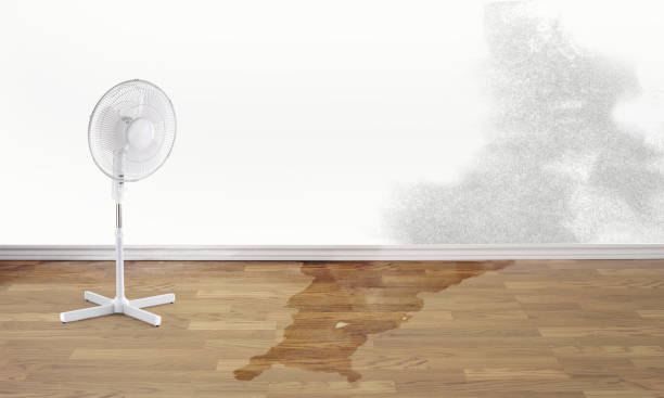 , KS Water damage restoration Company