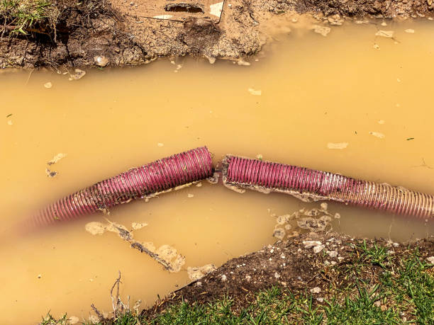 Best Commercial water damage restoration  in Hillsboro, KS