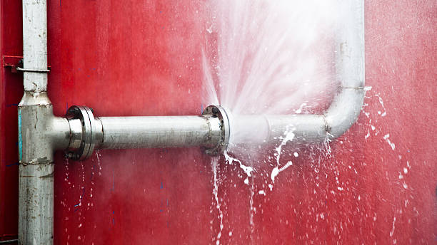 Best Carpet water damage restoration  in Hillsboro, KS